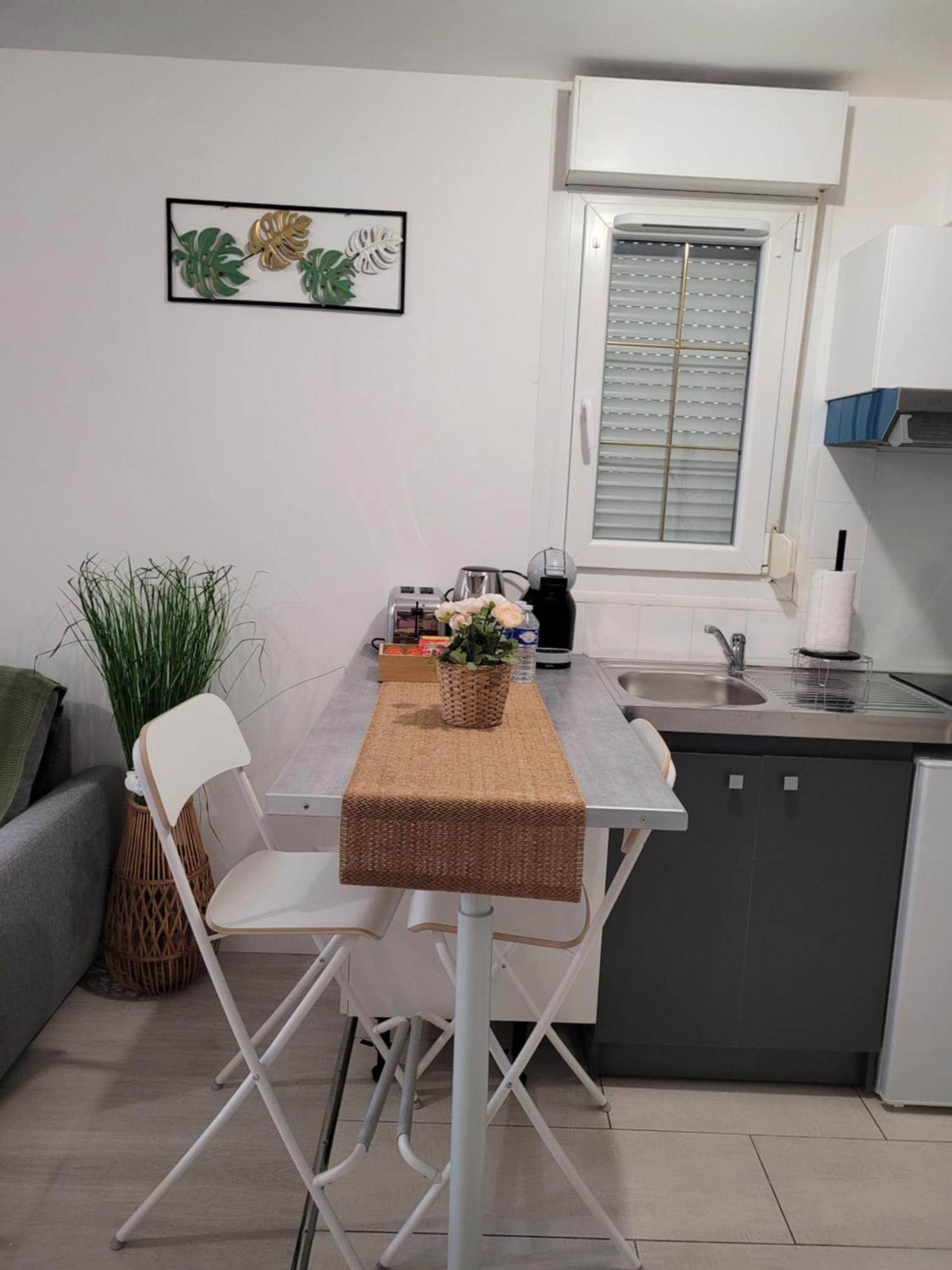 Cocooning House 204 Suite Green- Superb Studio Aeroport Paris Roissy Cdg, Parc Asterix, Chateau De Chantilly, Stade De France Сюрвилье Экстерьер фото
